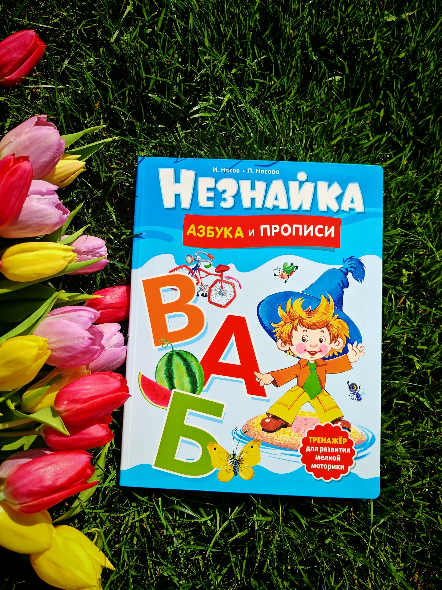 Незнайка. Азбука и прописи