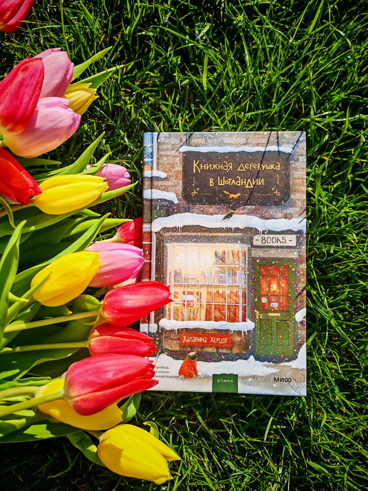 Книжная деревушка в Шотландии