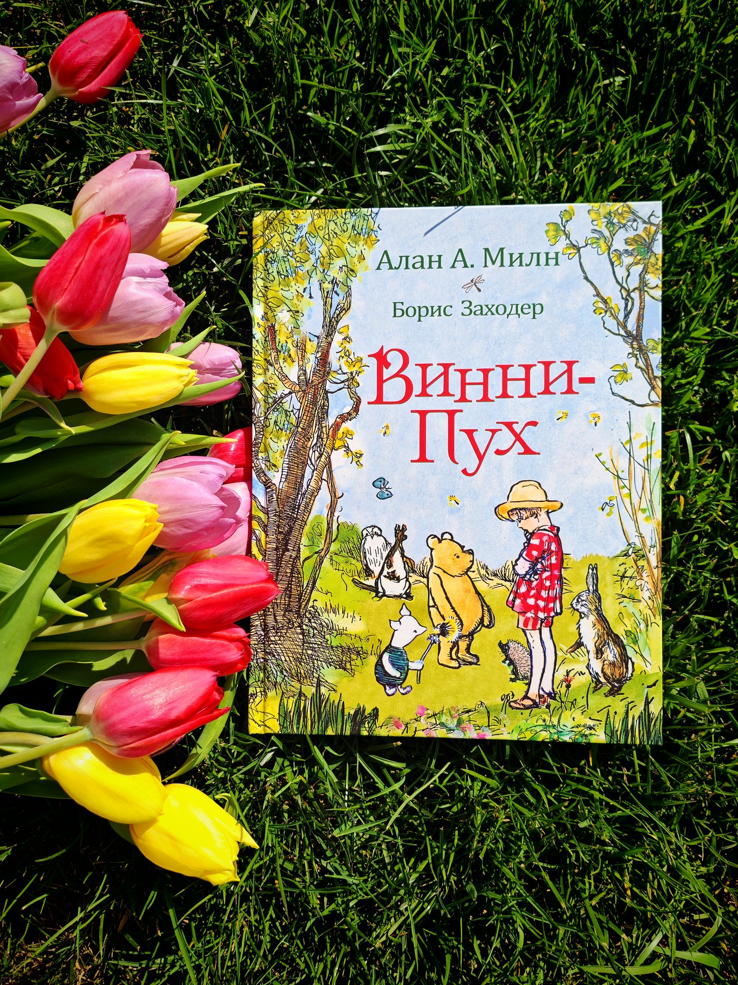 Винни-Пух