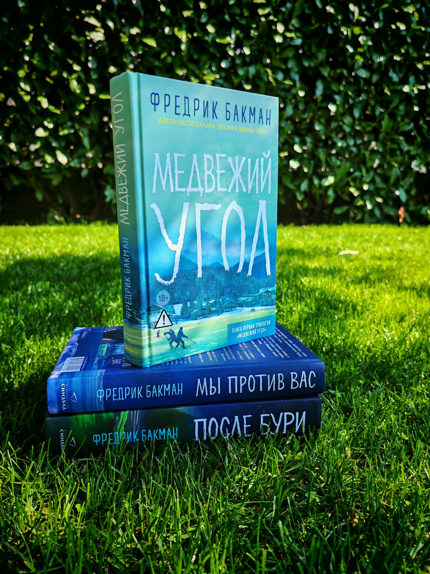 Трилогия "Медвежий угол"
