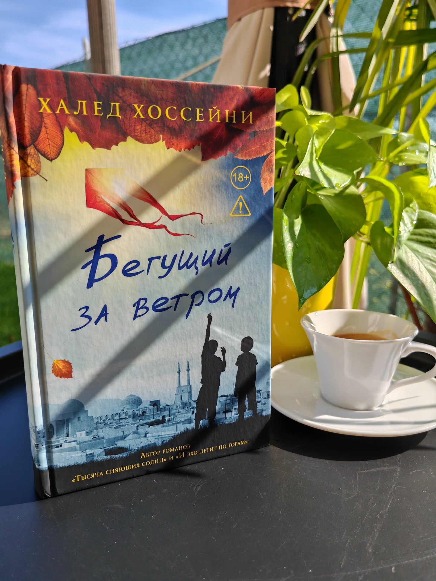 Бегущий за ветром
