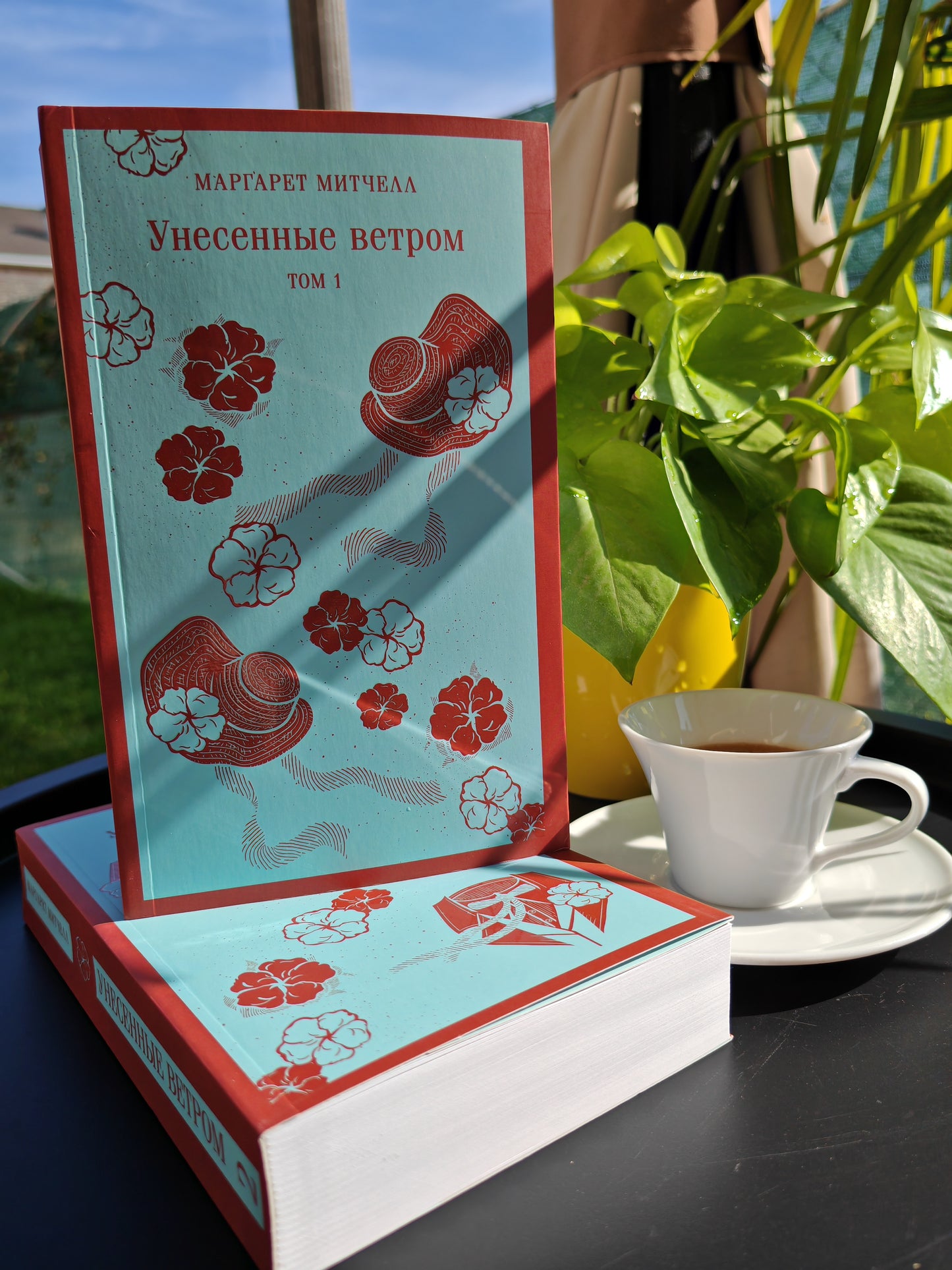 Унесённые ветром (комплект из 2 книг)