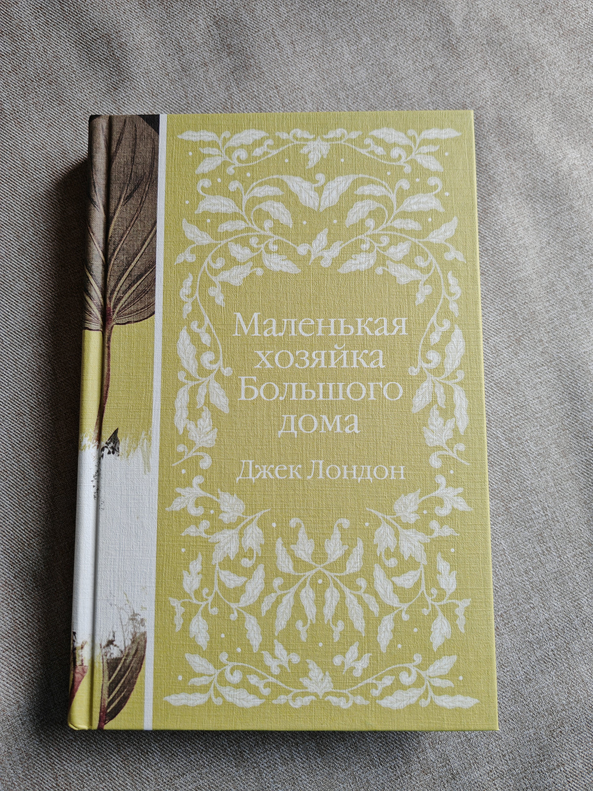Маленькая хозяйка Большого дома