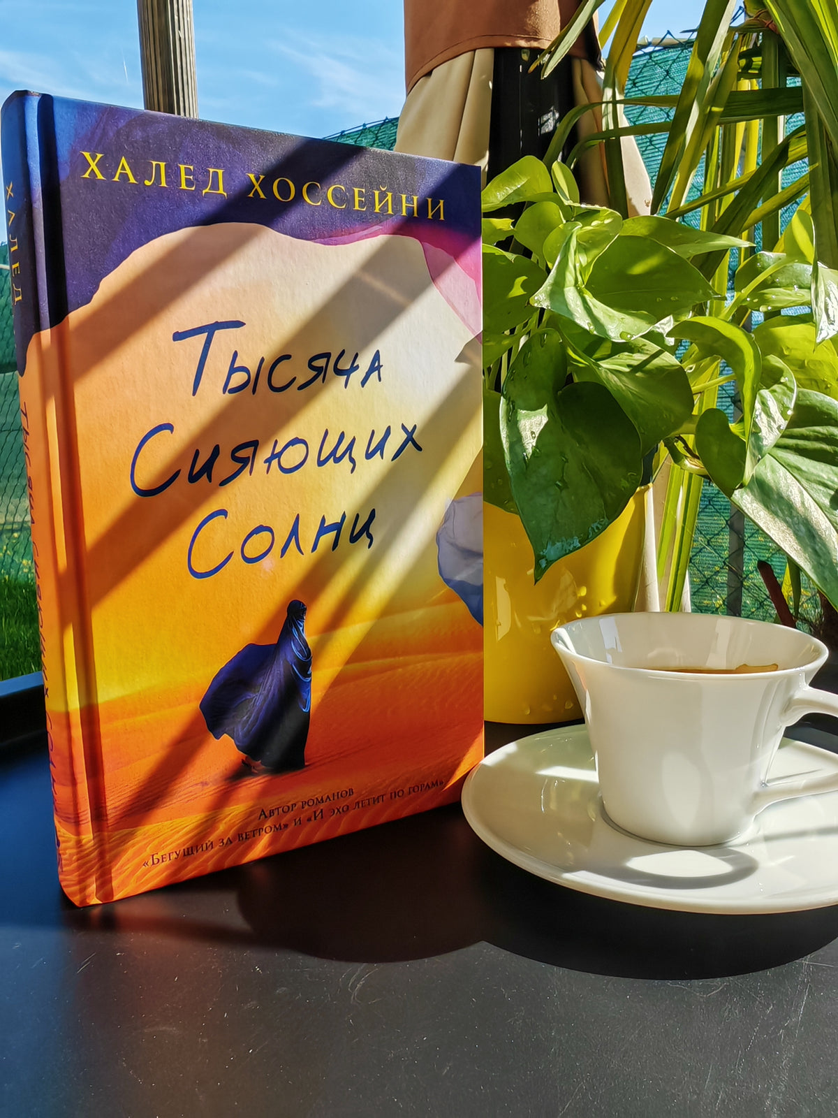 Тысяча сияющих солнц
