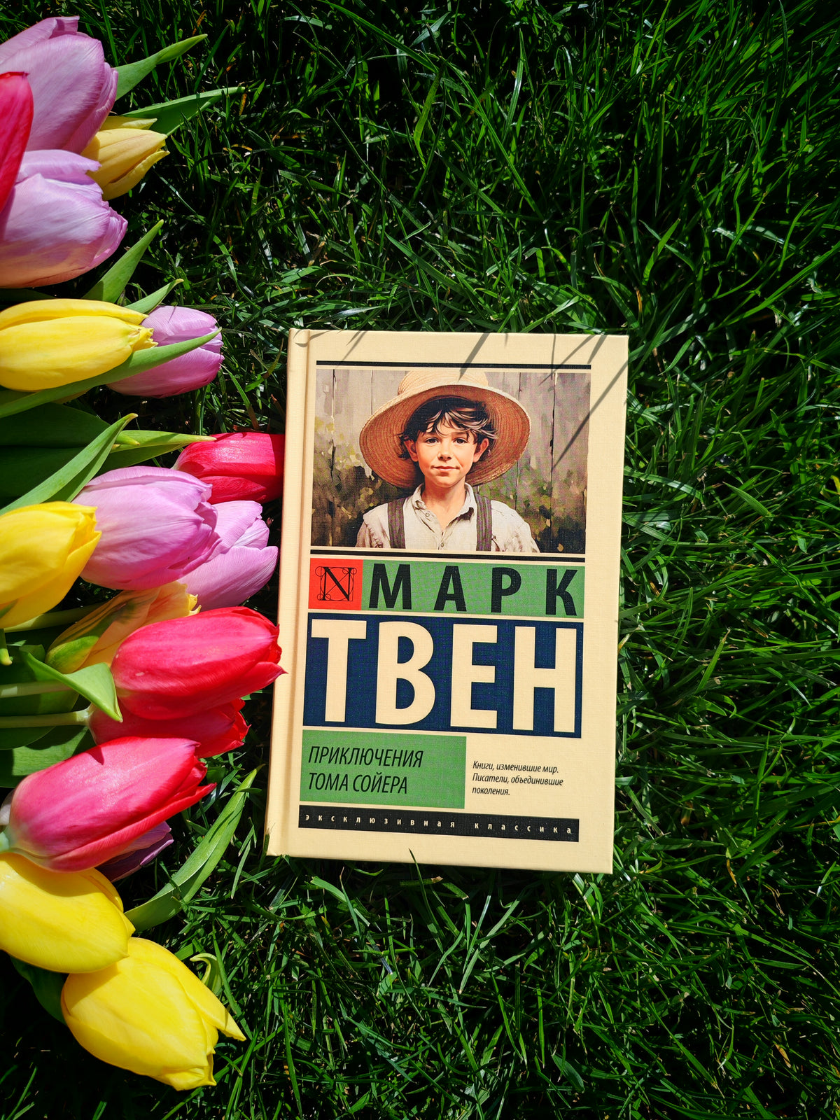 Приключения Тома Сойера