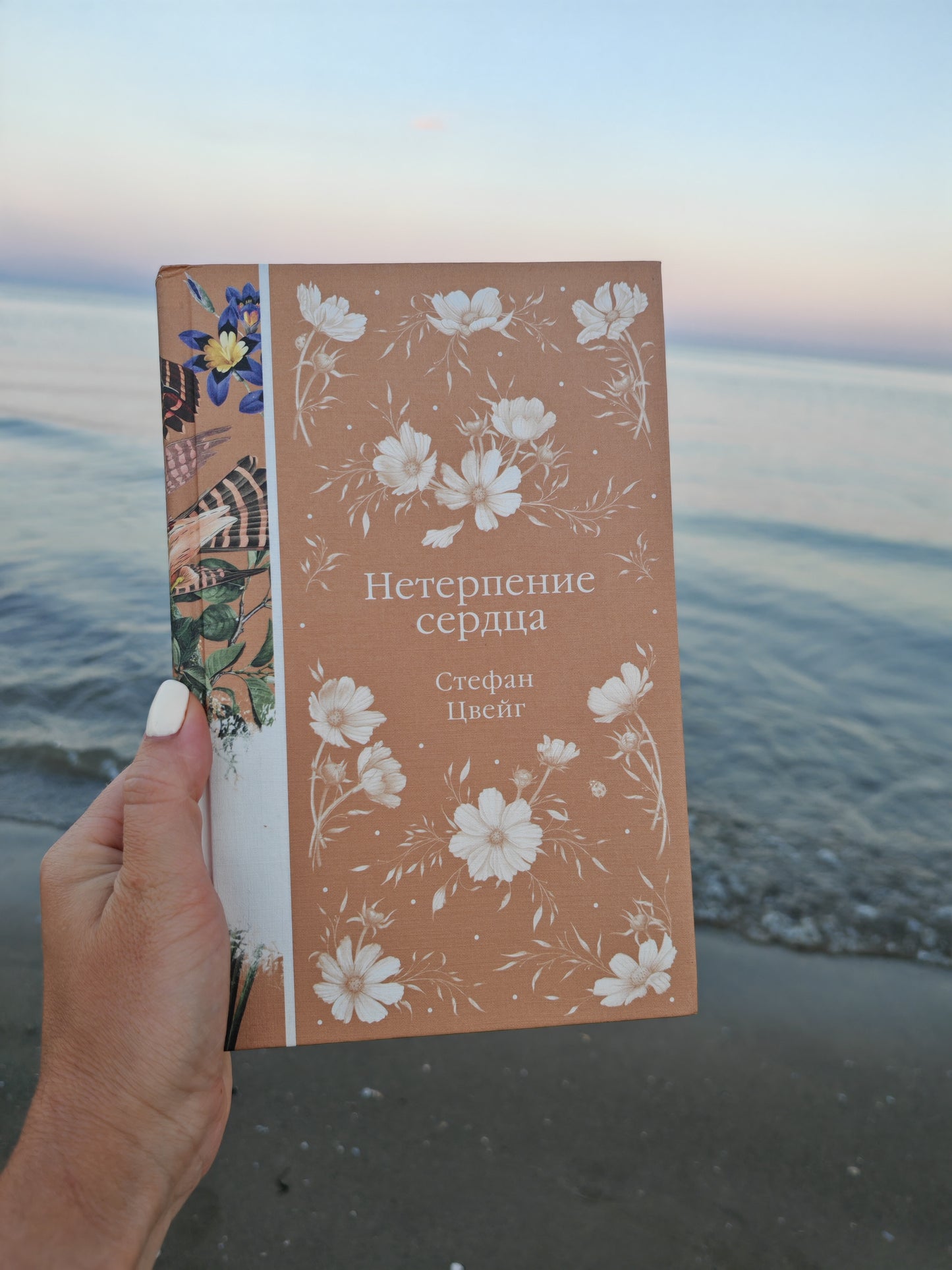 Нетерпение сердца