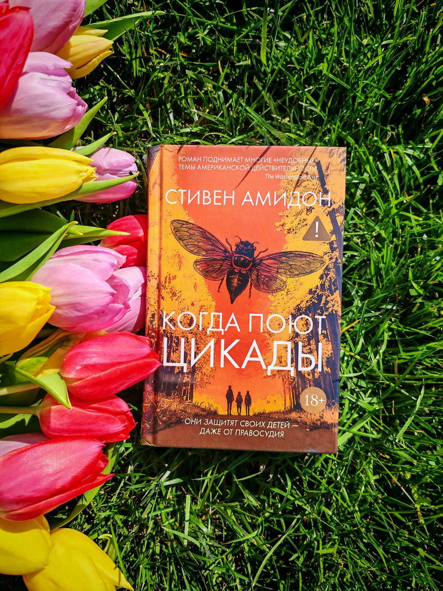 Когда поют цикады