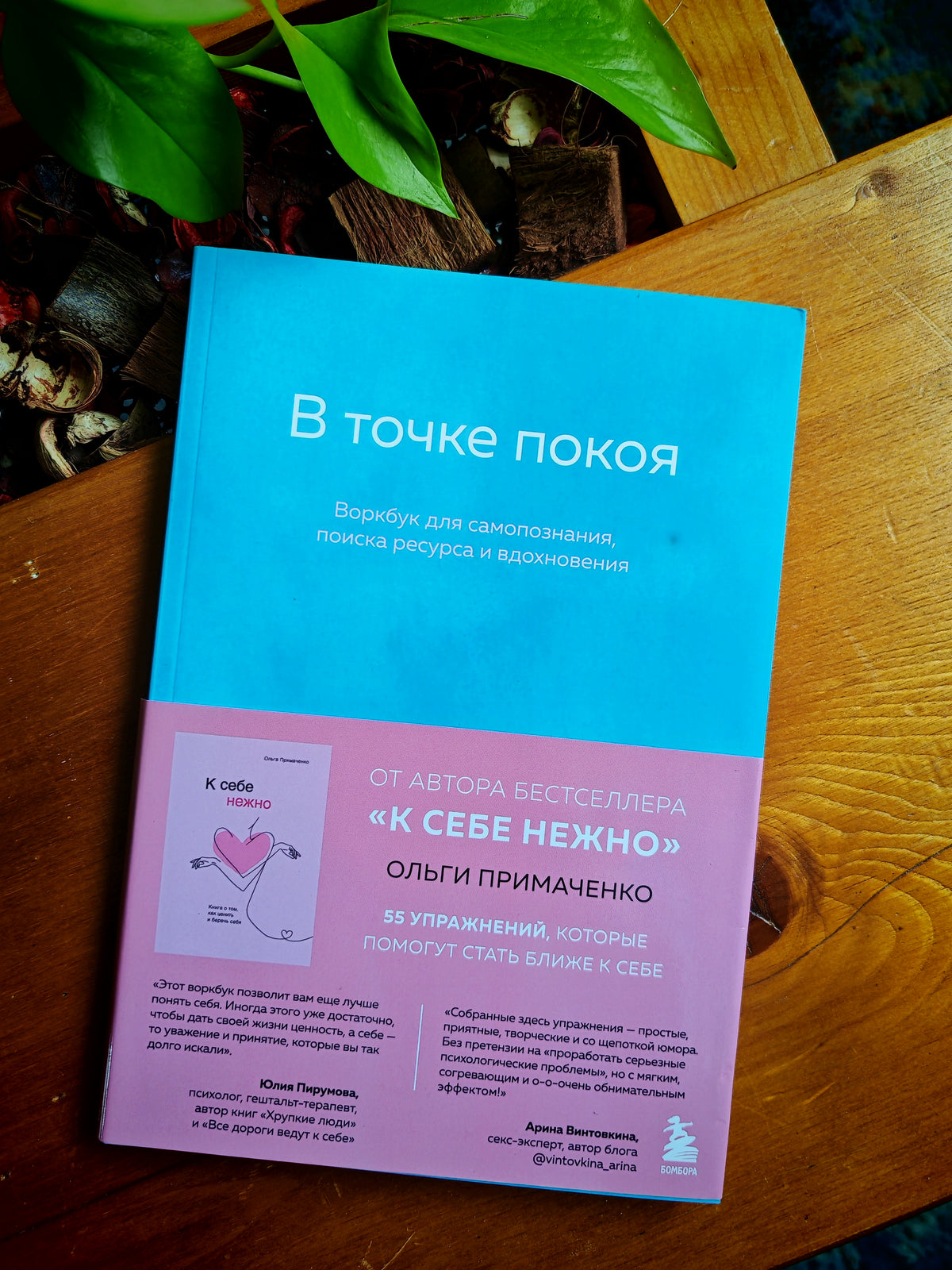 В точке покоя