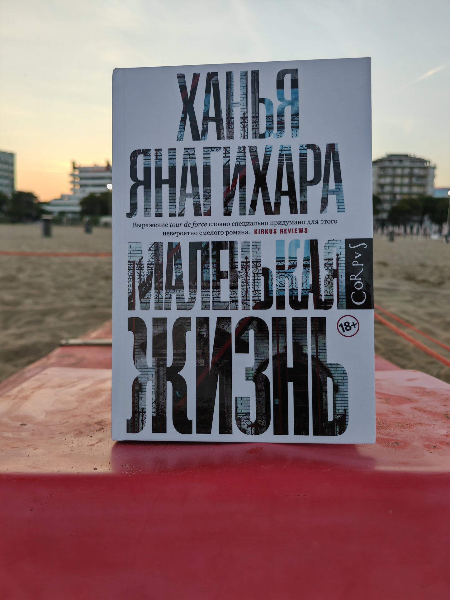 Маленькая жизнь